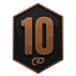 Escudo de la división 10