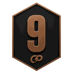 Escudo de la división 9